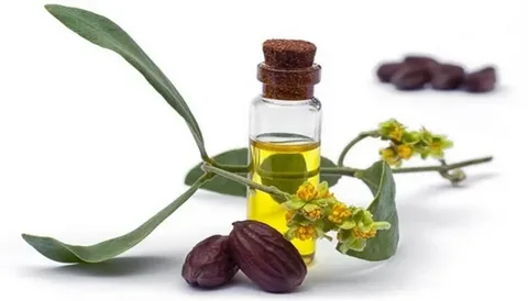 تصویر 5 از قیمت خرید روغن ارگان غلیظ + فروش ویژه